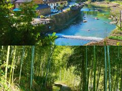 -大奇山国家森林公园