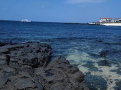 -真情鲍鱼海鲜汤