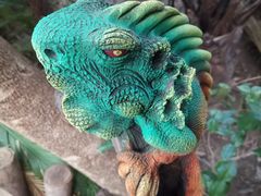 -呀路古热带植物园