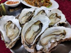 生蚝-冯姐生蚝(长隆横琴店)
