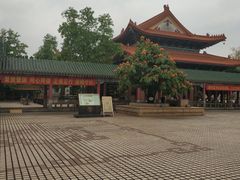 -广东圆玄道观