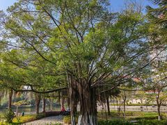 -厦门大学(思明校区)