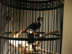 -清真·京华源铜锅涮肉(丰庆店)