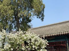 -保定直隶总督署博物馆