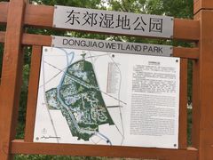 -东郊湿地公园