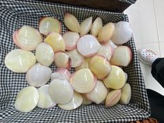 -青岛贝壳博物馆