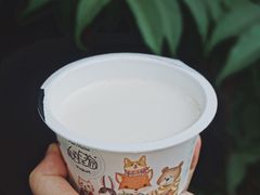 原味手工酸奶-狐狸家·酸奶酪专门店(平江路店)