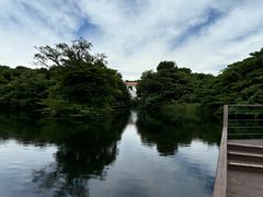 -济州森林小火车生态公园