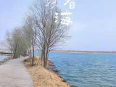 -野鸭湖国家湿地公园