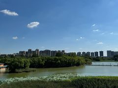-光岳楼