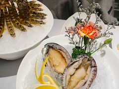 六头鲍鱼-红雀围·海鲜火锅(陆家嘴中心店)