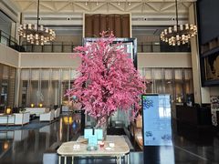 -成都安仁福朋喜来登酒店