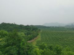 -北京张裕爱斐堡酒庄
