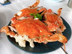 -阿尔法海鲜排档(爱琴海店)