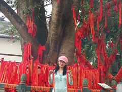 -南宁良凤江国家森林公园