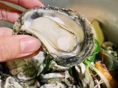-土蚝·高压锅生蚝(百姓美食街店)