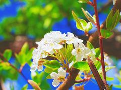 -丽江泸沽湖景区