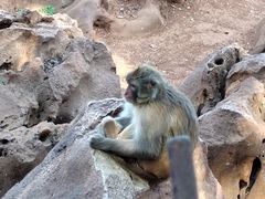 -昆明动物园