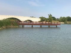 -西京湾花海