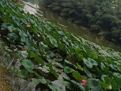 -艾溪湖湿地公园