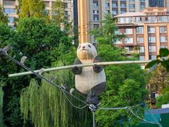 -成都市活水公园