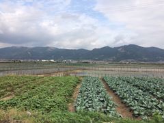 -北岐滩涂