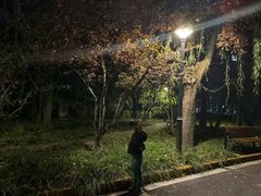 -南长河公园