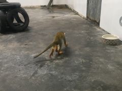 -西安秦岭野生动物园