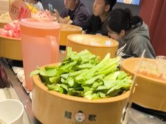 -龍歌自助小火锅(市北台东利群店)