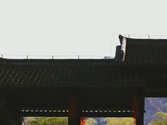 -大唐贡茶院
