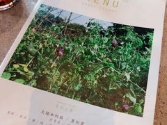 -半山腰·云南菜(侨福芳草地店)