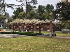 -四川大学(望江校区)