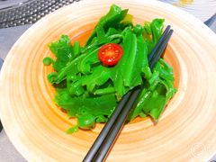 -蒲叙(凯天国际店)