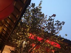 -三只耳火锅(宽窄巷子店)