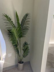 -VE专注问题肌·赛诺龙&科学美肤中心