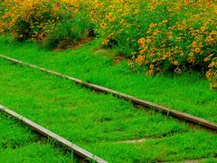 -永定河休闲森林公园