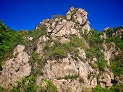 -大岭沟猕猴桃谷风景区