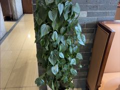-郑庄脂渣海鲜楼(九水路店)