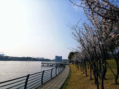 -美兰湖景区