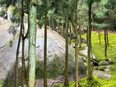 -玉苍山国家森林公园