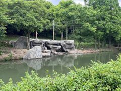 -宁波野生动物园