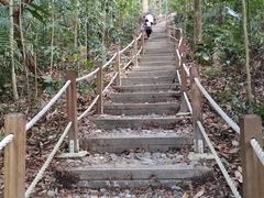 -武吉知马自然保护区