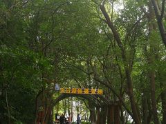 -天目湖山水园