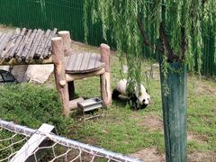 -沈阳森林动物园
