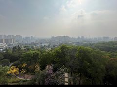 -四望岗公园