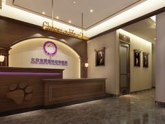 -宠爱国际动物医院· 猫科· 外科·中兽医(长白店)