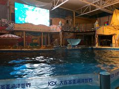 -大连圣亚海洋世界