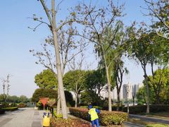 -南翔镇银翔湖公园