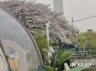 汉阳江滩新开了一家日法融合菜的新餐厅 从晴川酒店一楼
