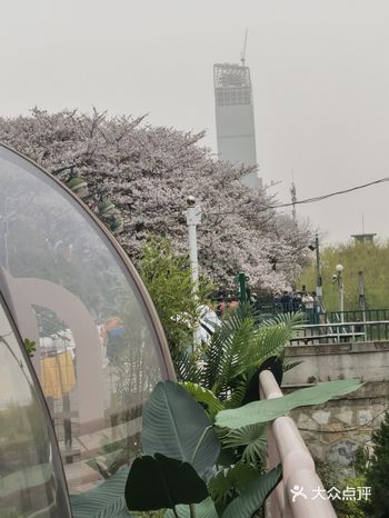 汉阳江滩新开了一家日法融合菜的新餐厅 从晴川酒店一楼